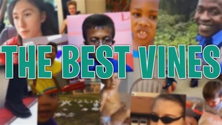 Best Vines Of All Time — PICS